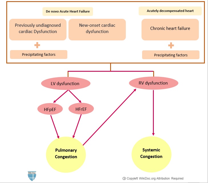 Fig1.COVID-19-associated heart failure.jpg