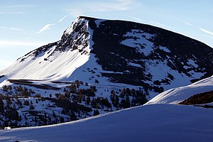 Elephants Back, Carson Pass.jpg