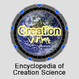 creationwiki